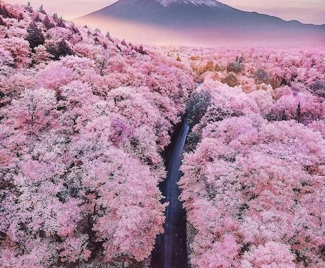 木花咲耶姫様♡桜花ヒーリングを伝授します 淡いピンクの光で力強いエネルギーサポートと愛の波動を感じます イメージ1