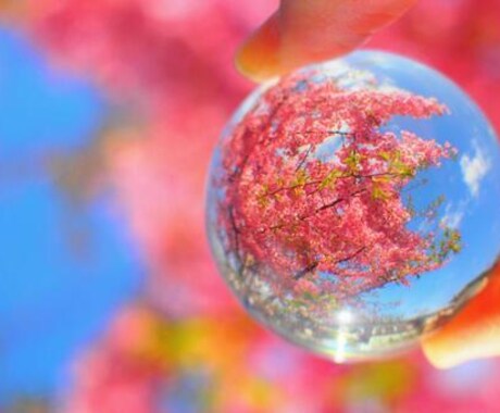 恋するあなたの“答え”を一緒に見つけます 恋の迷いに、優しくそっと光を。 イメージ1