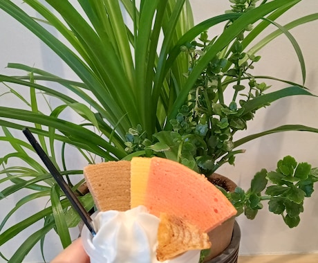 素敵な写真用意します 花、食べ物などのきれいな写真を撮ります イメージ2