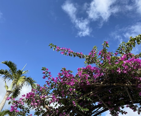 女神リリス・アクティベーションします 自信を高め、ワイルドな女性的側面の開花 イメージ1