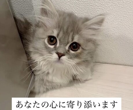 恋愛で苦しくなったあなたの味方になります 愚痴・相談OKです。あなたの心に寄り添います。 イメージ1
