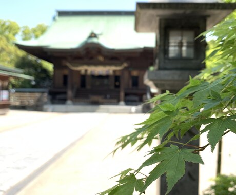 直接対話でスピリチュアルカウンセリングいたします 自分自身で幸せな人生を創る！プロスピリチュアラーとの対話。 イメージ2