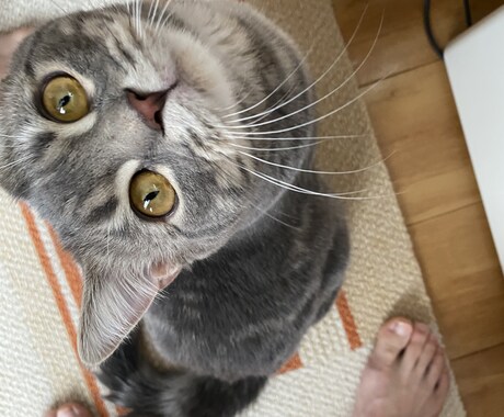 気軽にご相談を聴き寄り添います 今までの経験から何か伝えられればと思います⭐️ イメージ1