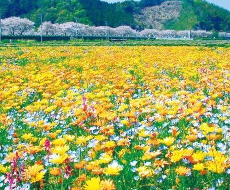 あなたの気持ちなんでも聞きます 誰かに聞いて欲しい、考えを整理したい方へ イメージ1