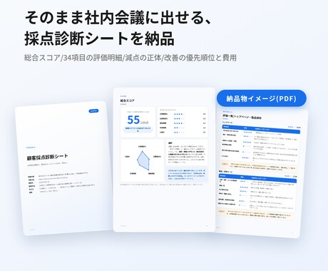 HP・サイトを顧客目線で診断＋改善提案いたします 問合せやアクセスが増えない原因を顧客目線で調査し改善案を提出 イメージ2