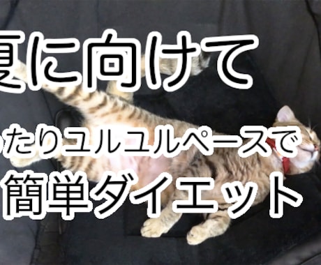 まずは１週間！お手軽ダイエットをサポートします -30kgの減量できた令和最新のダイエット イメージ1