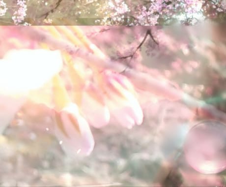 人間より長寿の❀桜の樹その精霊に貴方の幸せ聴きます 万物の一部である貴方♥桜の木からのメッセージ聴いてみませんか イメージ1