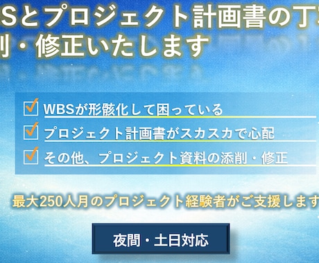 24年の知見_プロジェクト計画・WBSを診断します 250人月規模の修羅場の経験者が丁寧に添削・修正します イメージ1