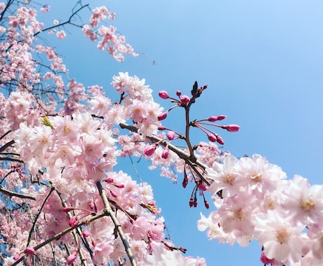 1コイン♡何でもお話聞きます 聞いてほしい。でも話せない。そんなあなたの味方です。 イメージ1