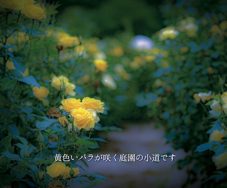 字幕動画(YouTube・TikTok)作成します 時間・土日祝日関係なく対応いたします！ イメージ2