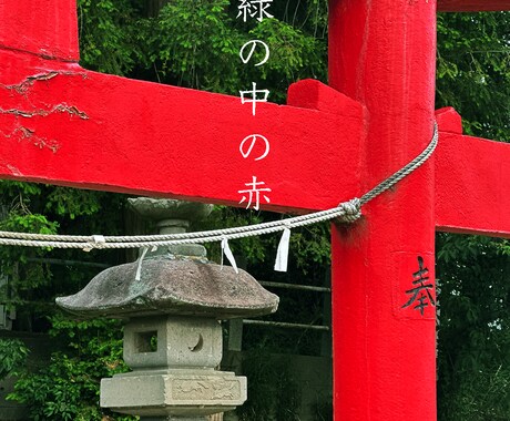 羽生市　SNS・ブログに使える写真素材を撮影します 羽生市で起業、出店、事業活動を応援！！ イメージ2