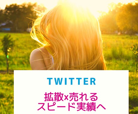 2週間ツイッター集客＆収益アップのコンサルします SNSマーケティング・フォロワー数アップで徹底サポート イメージ1