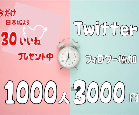 Twitterフォロワー1000人～増加します 高品質♡減少保証♡日本人いいねプレゼント中♡ イメージ1