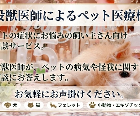 現役獣医師が、ペットの病気についてご相談に応じます イメージ1
