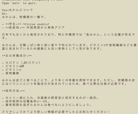 ラズパイでLLMチャットシステムの作り方教えます ローカルチャットシステムの作り方を体験できます。 イメージ1