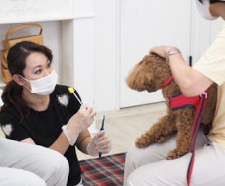 歯科衛生士が愛犬のお口悩みに個別レッスンします ＜ビデオチャット＞実務経験20年以上の衛生士教員が解説！ イメージ1