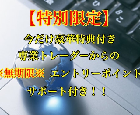 FX 専業トレーダー考案 トレード手法販売します エントリーポイント・サポートあり！豪華特典付き！