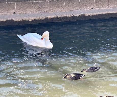 恋愛の相談なら僕にして！的確なアドバイス致します 女性専用、人に話しにくい事ここで何でも話して下さい！ イメージ2