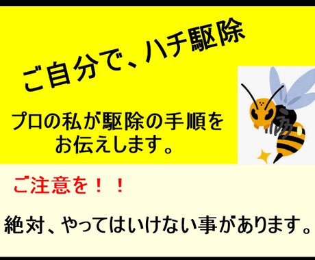 プロの私が、ハチ駆除の方法お伝えします ご自分でも駆除出来ますが、間違えるととんでもないことに！ イメージ1