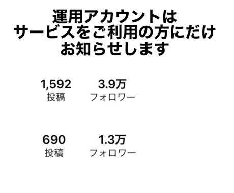 インスタグラムの集客、売上アップのご相談に乗ります 知識ゼロからもサポート！初回30分、1,000円で対応！ イメージ2