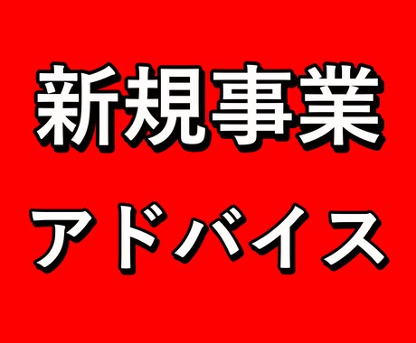 新規事業の壁打ち・アドバイスをします 現役の起業家・法人の代表が直接対応 イメージ1