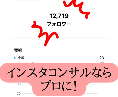 法人SNS運用代行するプロがインスタコンサルします あなたのアカウントをみて60分間のコンサルします！ イメージ2