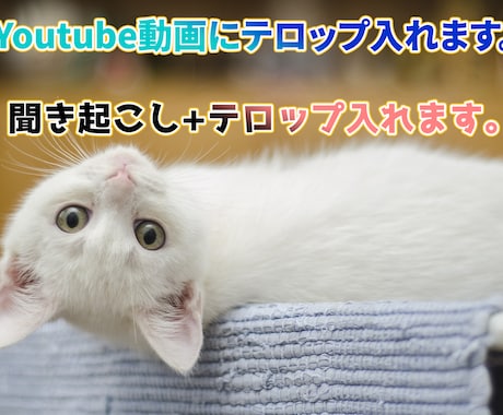 youtube動画にテロップ入れます 聞き起こし+テロップ入れ承ります。 イメージ1