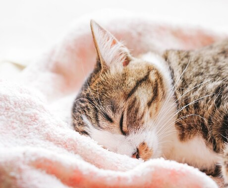 明日が来るのが嫌で眠れない人へ、お話し聴きます 1分からOKです！違うなと思ったらすぐ終了も可能です◎ イメージ1