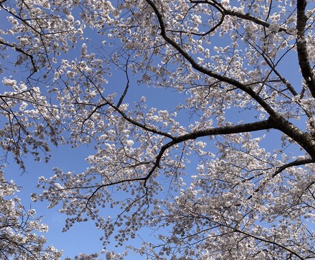 1分からでもOK～♬あなたのお話しお聞きします 今すぐ話したいお悩みや愚痴何でもお話下さい✩.*˚ イメージ2
