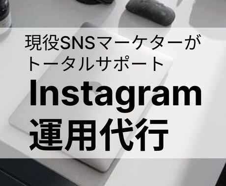プロのSNSマーケターがトータルプランニングします SNSマーケティングのプロによるInstagram運用 イメージ1