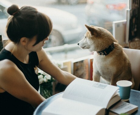 ペットロスの悲しみ、寄り添ってお話しお聴きします あなたのお辛い気持ち受け止めます イメージ2