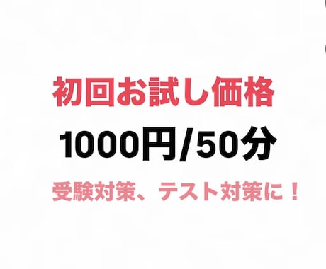 お試し用！中学生をメインに指導します 高校受験の指導が得意です。指導経験を活かして丁寧に教えます イメージ1