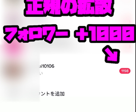 Tiktokフォロワー拡散で1000増やします 提携先の海外インフルエンサーの宣伝、拡散によりフォロワー増加 イメージ1