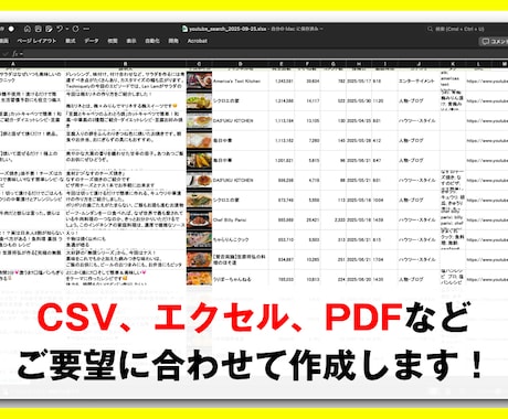 SNS運用に必須の動画リストを作成します 条件から分析に必要な動画情報を取得して、ファイルでご提供！ イメージ2