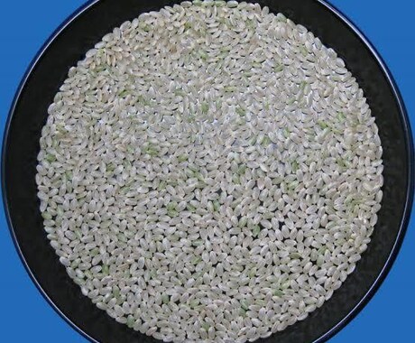 玄米を分析して整粒の%等をだします 整粒の%などから玄米がどのような状態か数字でだします。米検査 イメージ2
