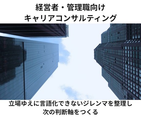 キャリア相談、キャリアカウンセリングします 現役人事が、企業側とキャリア支援の２つ視点でキャリア分析 イメージ1