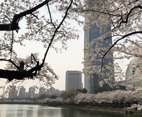 初級韓国語の勉強をお手伝いします 1から韓国語を始めたい初心者の方に、勉強のお手伝いをします！ イメージ1