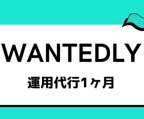 Wantedly1か月運用代行！フルサポートします 10社の運用代行経験アリ！最高品質の運用代行会社の出身 イメージ1