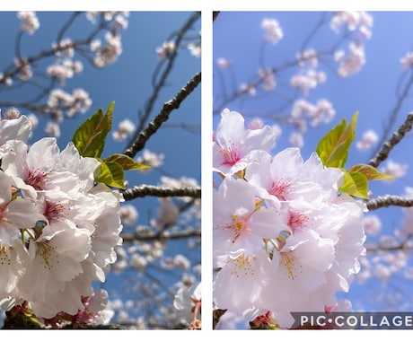 スマホの写真をインスタ映えな色味に現像します あなたのスマホやデジカメの写真をインスタ映えな色味に加工！ イメージ1