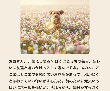 天国のあの子から、お手紙とお写真を1通お届けします あの子の性格や思い出から綴ります イメージ1
