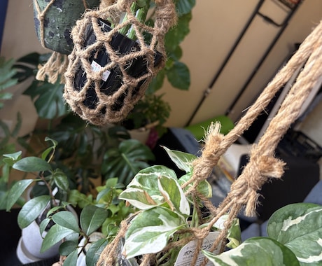 植物やエクステリアのお悩み解決します 造園•土木•農薬の資格保有！確かな知識でお悩みサポート イメージ2
