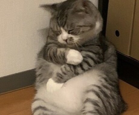 いのちのチャット。優しくお聞きします 心の悩み、どうしたらいいのか相談にのります。 イメージ2