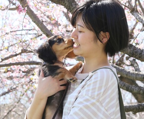 わんこのことご相談のります お迎え前の相談、愛犬とのお楽しみや悩みまでお話聞きます！ イメージ2