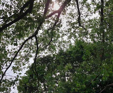 お客様の希望時間に朝のモーニングコールを行います 朝の弱い方が安心して起きれるように電話で起こします。 イメージ1