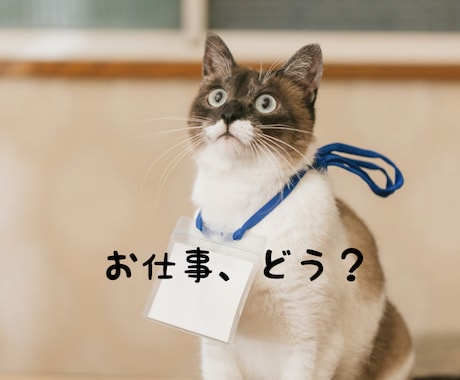 お仕事鑑定❣️ あなたの仕事の道を読み解きます 現職か転職か・適職・転機など、お仕事のお悩み全般占います。 イメージ1