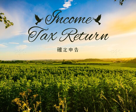 Consulting Tax Returnます For foreigners living in Japan イメージ1