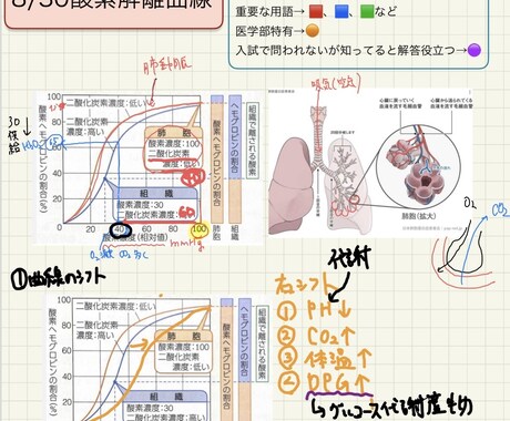 高校、受験生物を元医専プロ講師、現医学生が教えます 都内医学部専門予備校10年間勤務のプロ講師が受験生物を伝授 イメージ2
