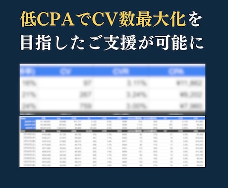 美容健康通販特化！獲得できる記事LP を制作します 【実績あり】記事1本でCV数＆LTV最大化 イメージ2