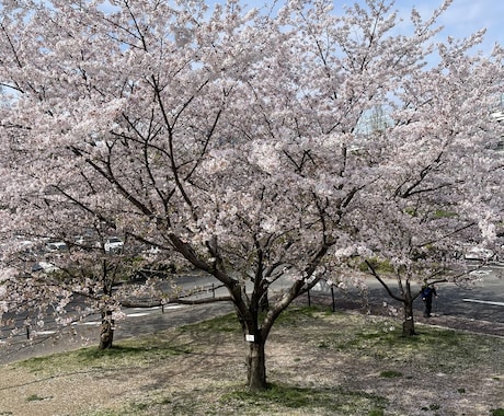 苦しんだり、困っている人を助けます 苦しんだり、困っている人がいるとほっとけない人です! イメージ1