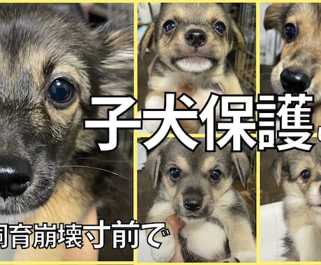 YouTubeの動画制作を行います 動画編集全般できます。ご期待に応えます イメージ1